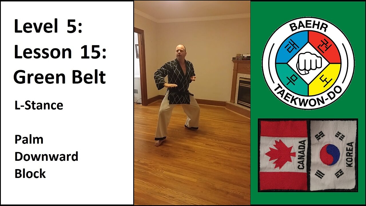 Baehr Taekwondo: 05-15: Green Belt: L-Stance - Palm Downward Block