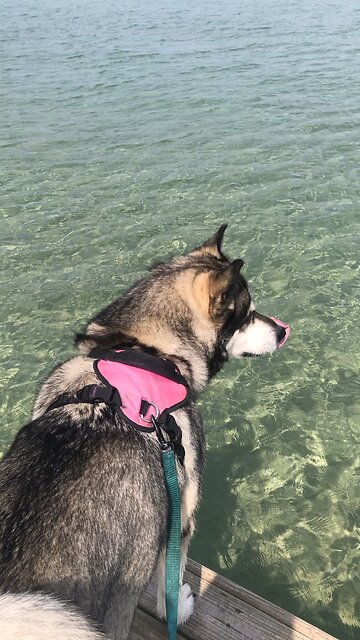 Shabbat shalom;￼ Saturday August 24, Jesus shed his blood.