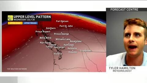 Vancouver Island, here's a duck cooling down (plus your forecast)