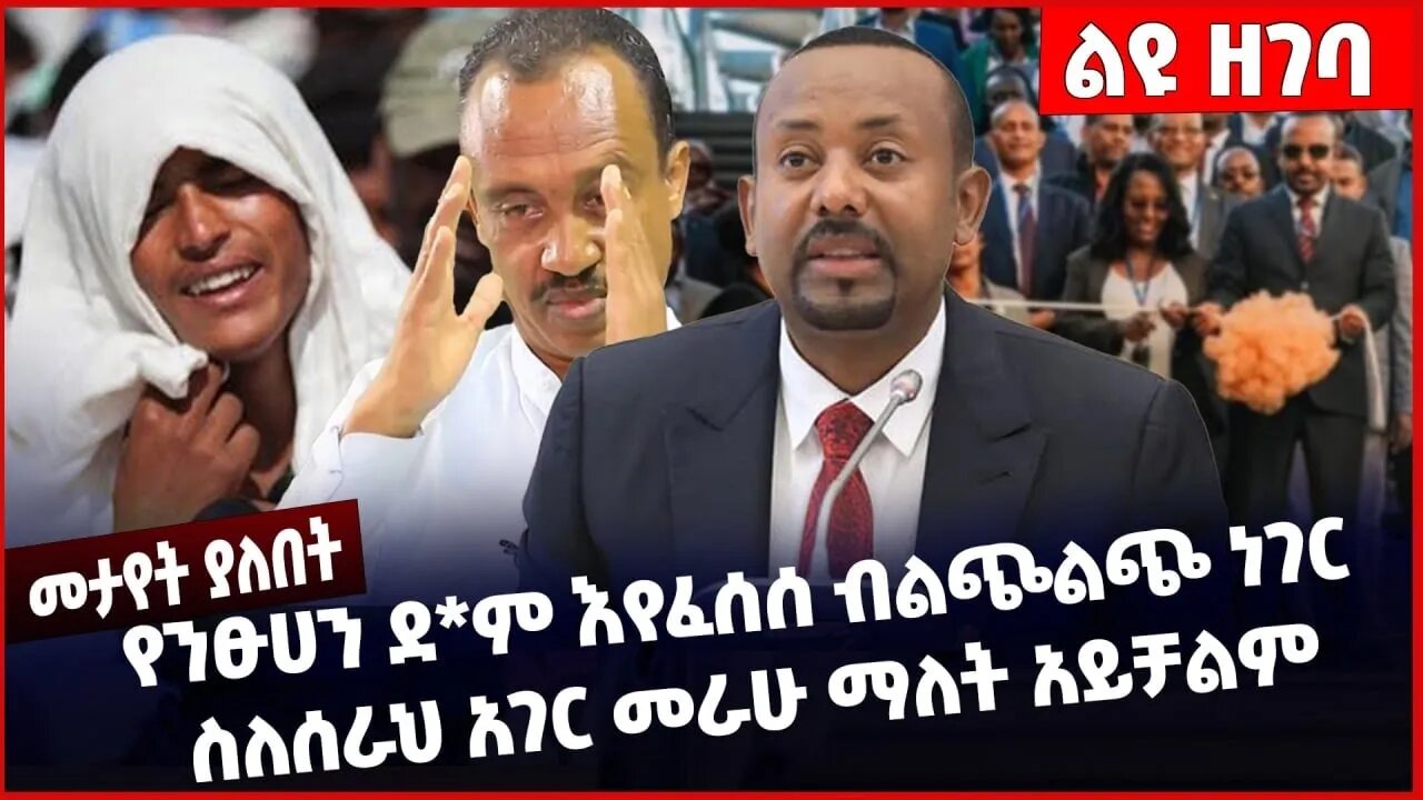 #Ethiopia የንፁሀን ደ*ም እየፈሰሰ ብልጭልጭ ነገር ስለሰራህ አገር መራሁ ማለት አይቻልም❗️❗️❗️ Solomon Shumye | Abiy Dec-07-2022