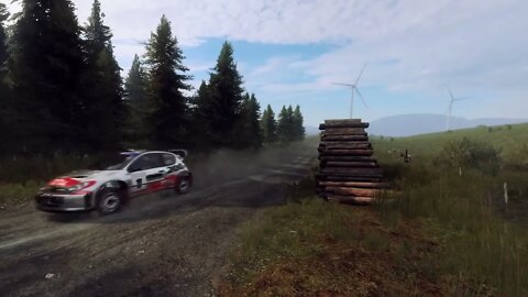 DiRT Rally 2 - Replay - Peugeot 206 at Bronfelen