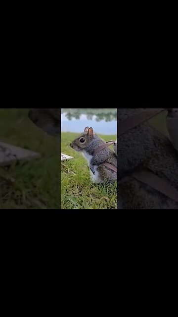 Nice Video clip like a pro.