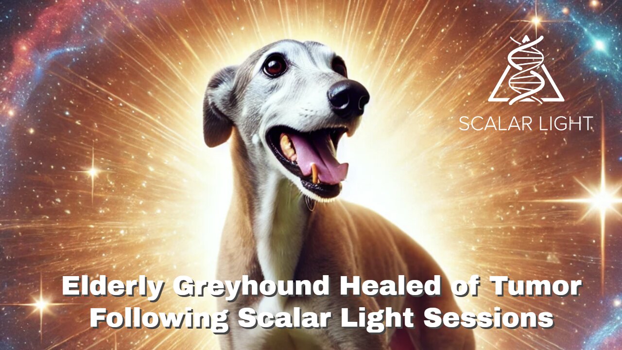 Elderly Greyhound Healed of Tumor Following Scalar Light Sessions