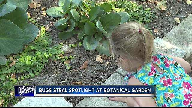 18th annual Bug Day at the Idaho Botanical Garden