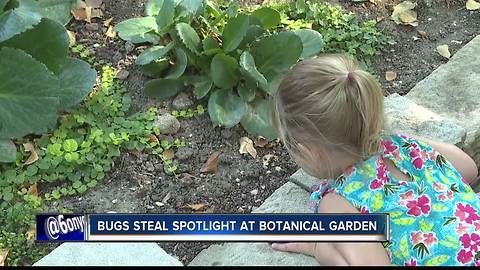 18th annual Bug Day at the Idaho Botanical Garden