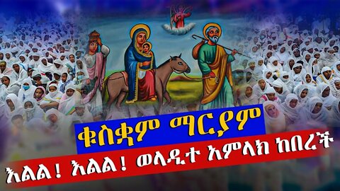 ቀጥታ ስርጭት | ታላቅ የንግስ በዓል ከቁስቋም ማርያም | ወላዲተ አምላክ ድንግል ማርያም ከበረች