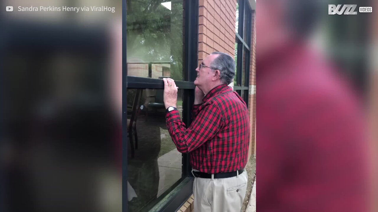 Un vieil homme chante pour sa belle confinée