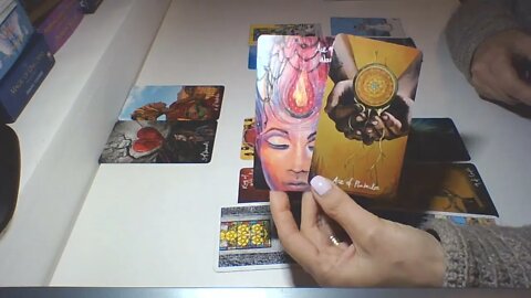 TAROT BERBEC- MESAJE DIN PARTEA UNIVERSULUI (NOIEMBRIE) - VINDECARE PRIN DETASARE