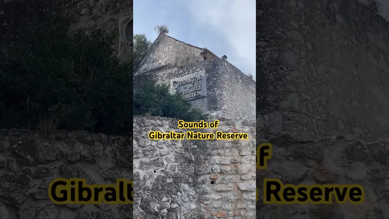 Hot July Summer Sounds at Gibraltar