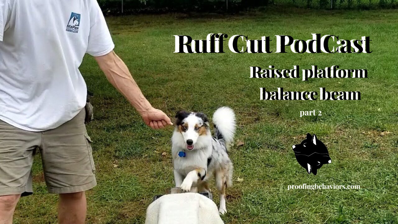 Ruff Cut PodCast .... Raised Platform and Balance Beam Part Two