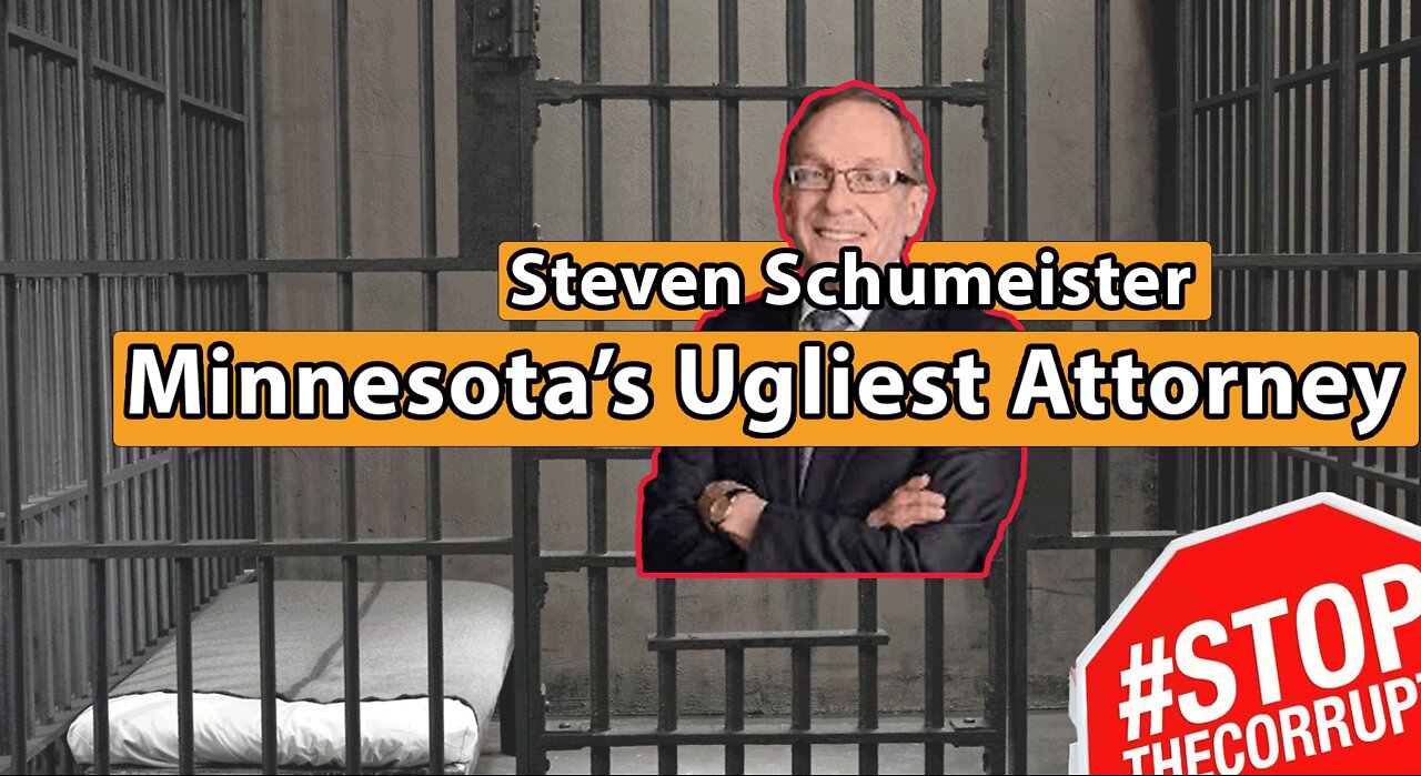 Steven Schumeister, Robins Kaplan LLP: Minnesota's Ugliest Attorney