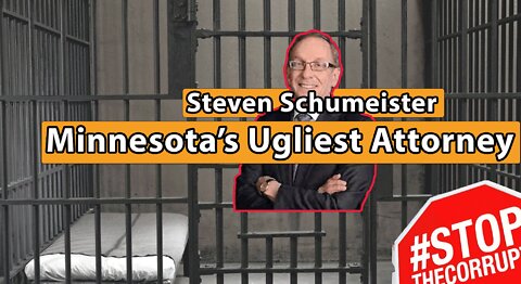 Steven Schumeister, Robins Kaplan LLP: Minnesota's Ugliest Attorney