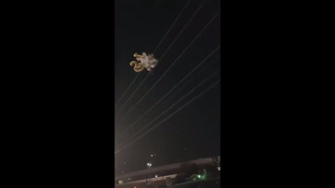 Woman releases balloons under power lines causing a citywide blackout 