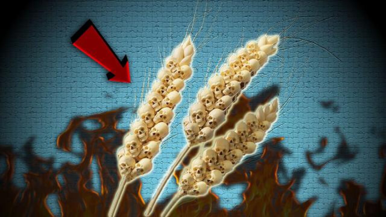 WE ARE ON THE BRINK OF A GLOBAL FOOD CATASTROPHE, ONLY 10 WEEKS OF WHEAT SUPPLIES LEFT IN THE WORLD!