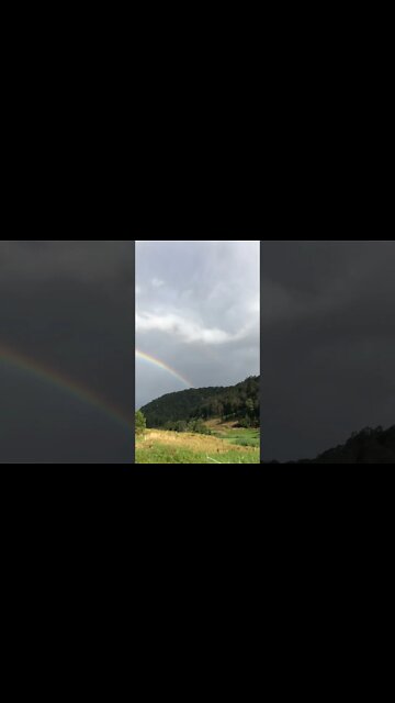Sun shower and rainbow when planting a tree at a graveside.