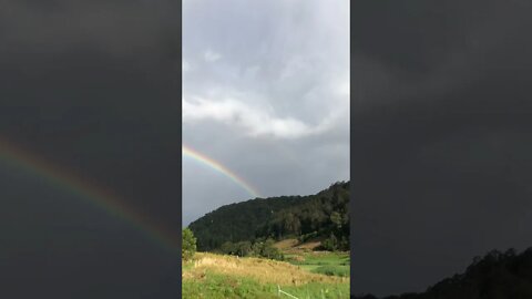 Sun shower and rainbow when planting a tree at a graveside.