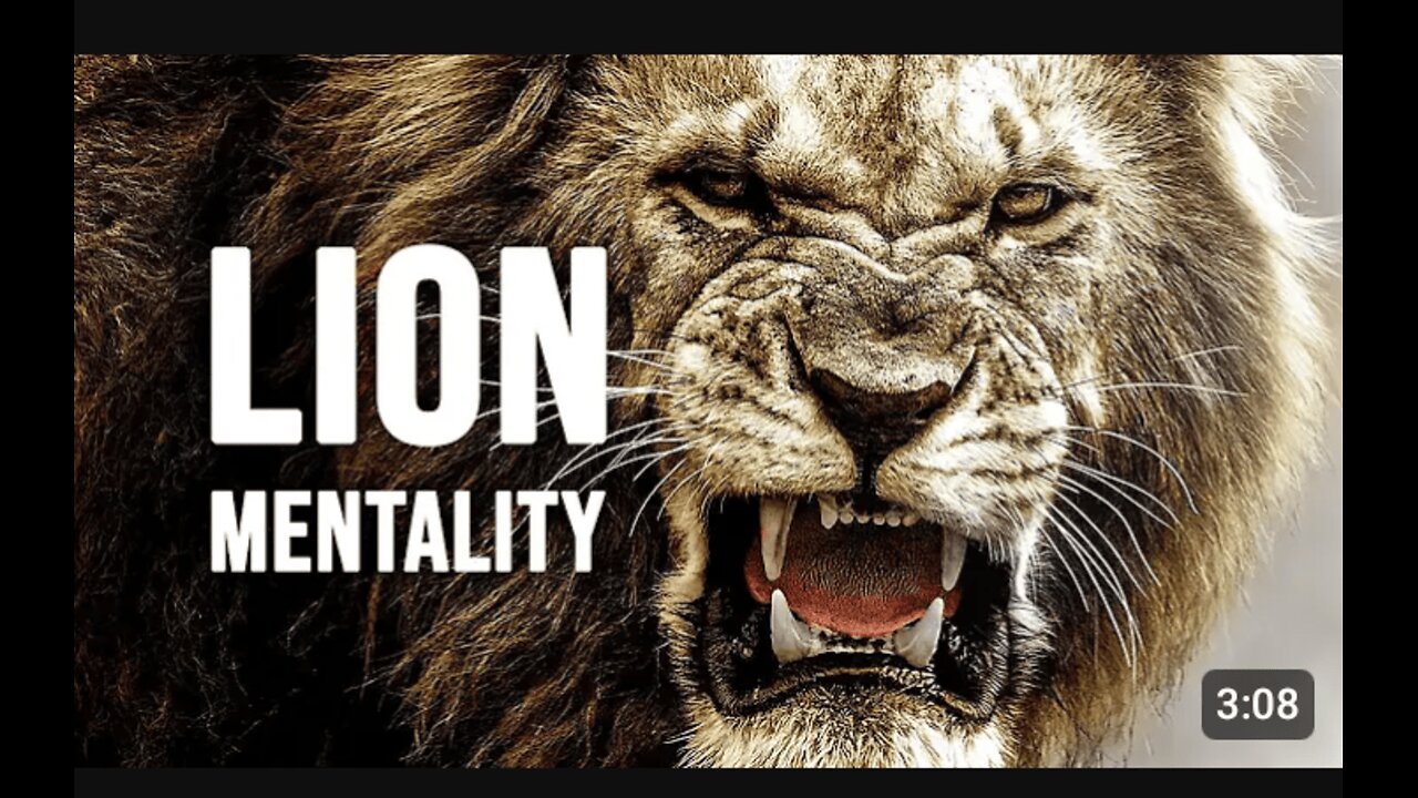 Lion Mentality - Motivation Video