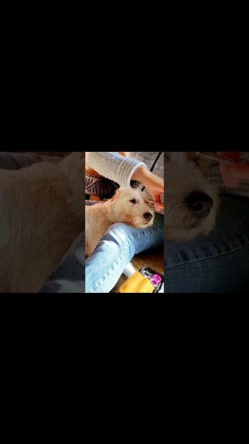 happy New Year ❤️