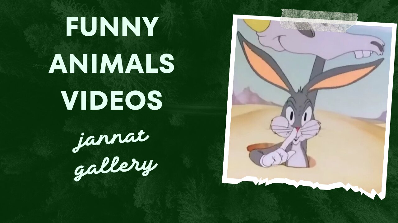 Looney tunes cartoon l cartoon for kids l looney tunes cartoon for kids