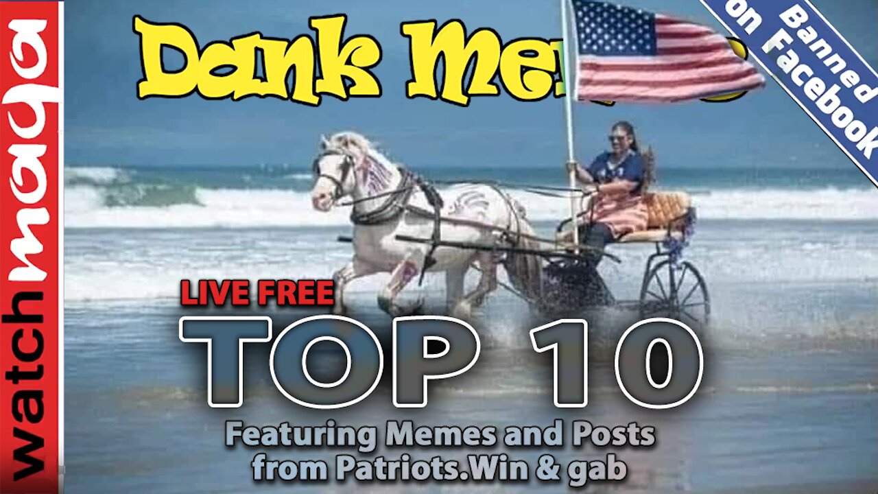 TOP 10 MEMES: Live Free