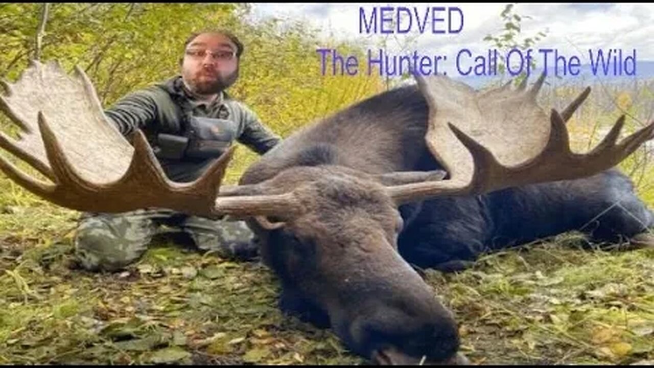 The Hunter MedVed Taiga Moose Grinding