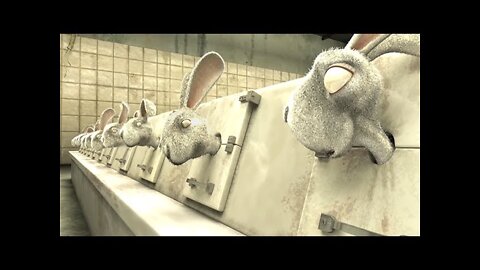 Bright Eyes: End Cosmetics Testing on Animals