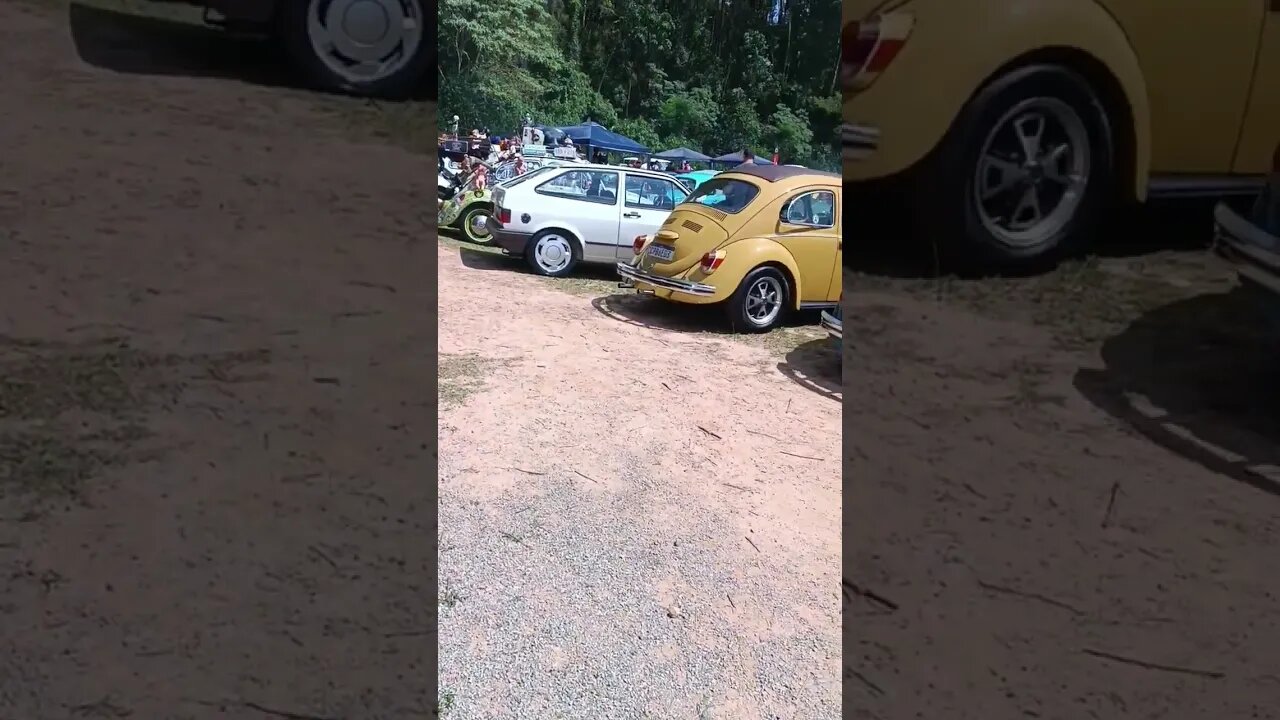 Família Volkswagen - Encontro de carros antigos #fusca