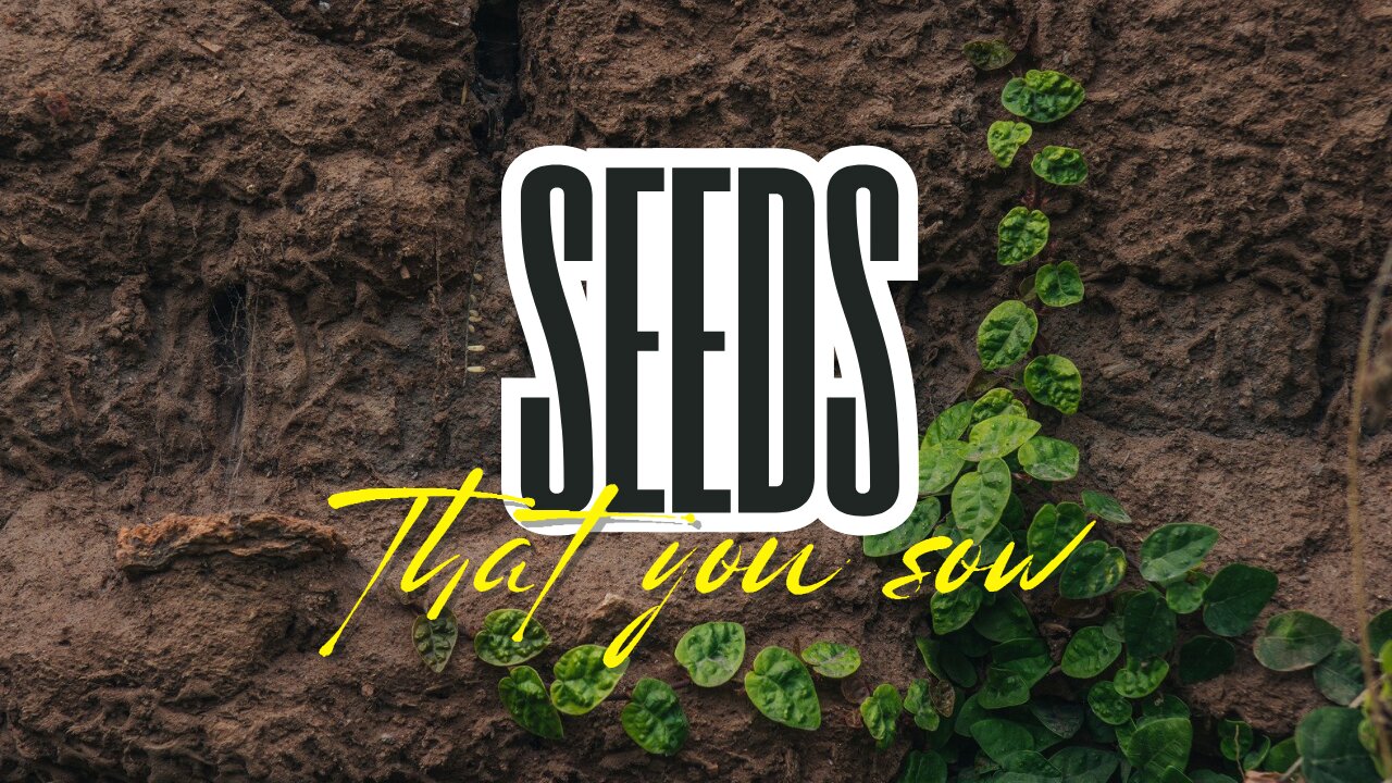 What You Sow You Will Reap 🌿🕊️