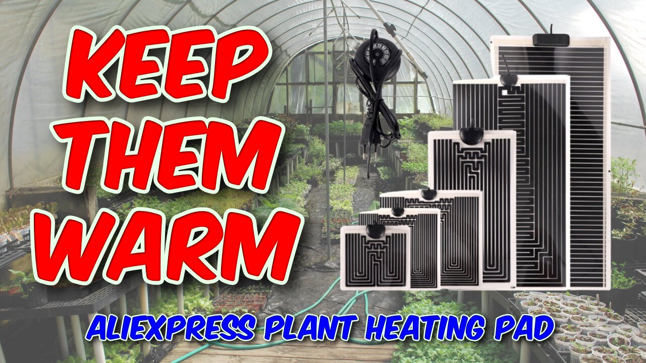 AliExpress Heating Pad Review