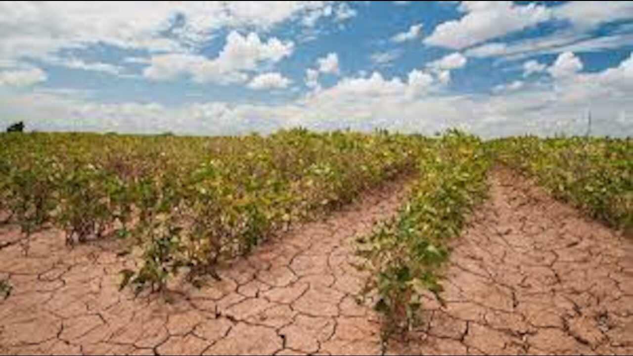 Food Production Being Cut World Wide