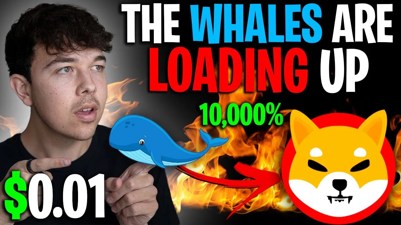 SHIBA INU COIN 42 BILLION SHIB JUST BOUGHT BY WHALE 🔥 SHIB PRICE PREDICTION 🚨