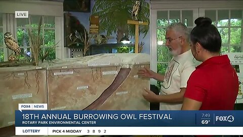 New exhibit comes to 18th annual Burrowing Owl Festival