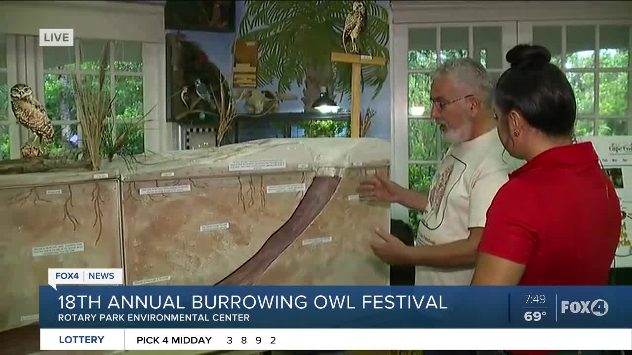 New exhibit comes to 18th annual Burrowing Owl Festival