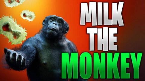 MIRRORED REELINFO * 🐒 MILK THE MONKEY 🐒