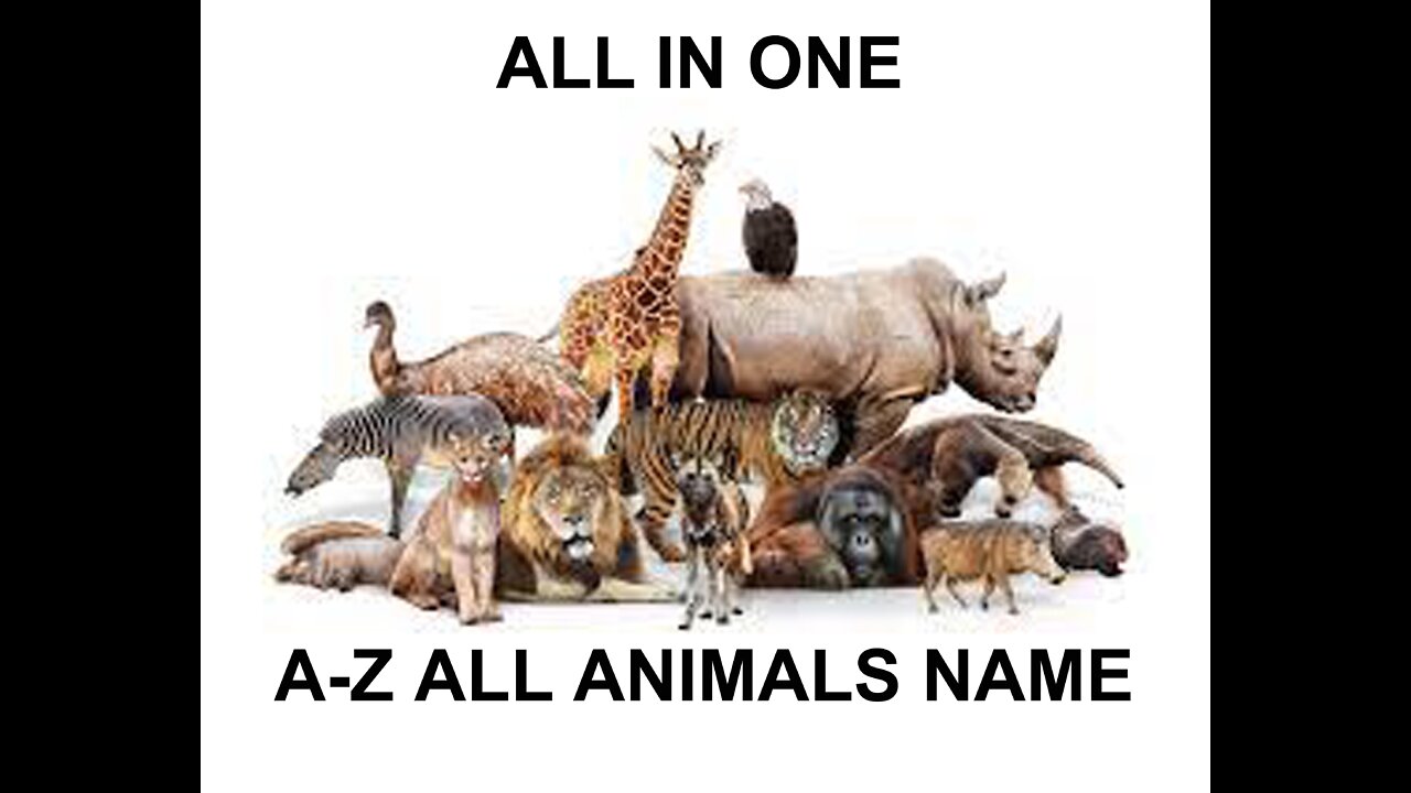 A Z All Animals Name In One Videos With Pictures