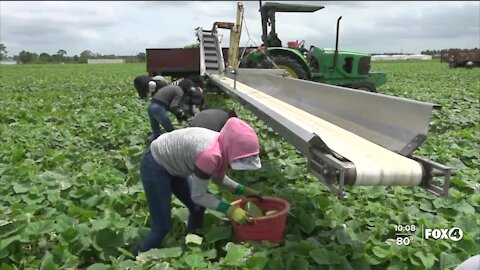 COVID-19 safety training for farm labor supervisors