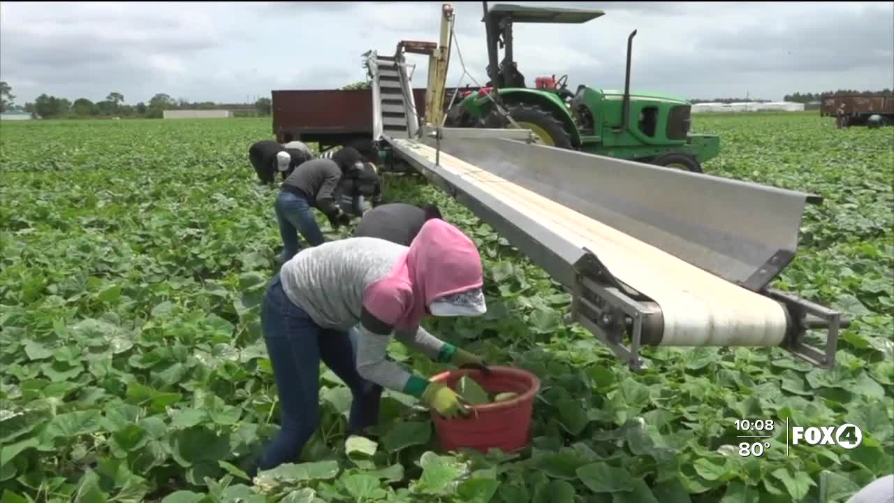 COVID-19 safety training for farm labor supervisors