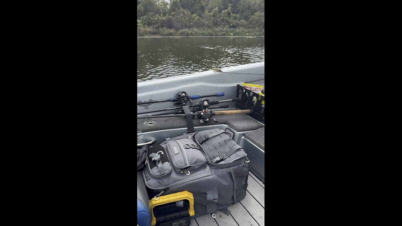 Huge Alligator Spotted on Lake Fork