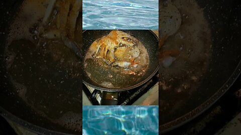 Fried soft shell Blue Crab!!! 💥💥Eat everything! CRUNCHY!