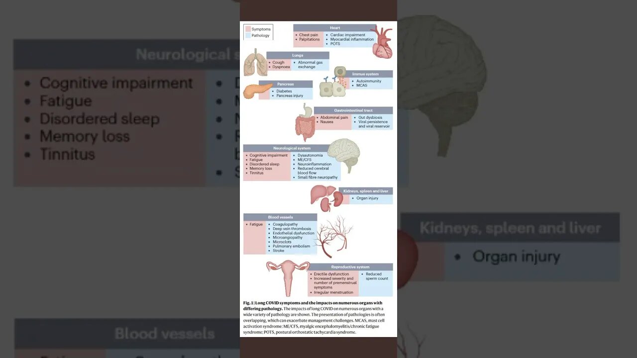 LONG COVID SYNDROME