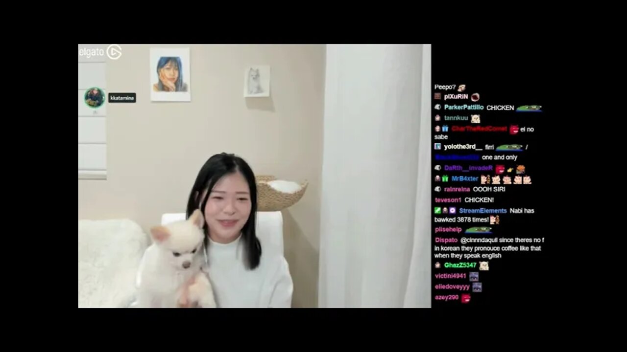 Perfect Name Suggestions for Miyoung's Cat