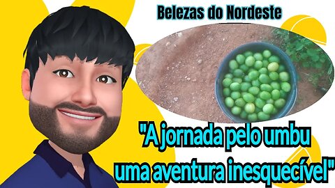 "A difícil jornada do Umbu: superando desafios para encontrar o fruto Nordestino 😊"
