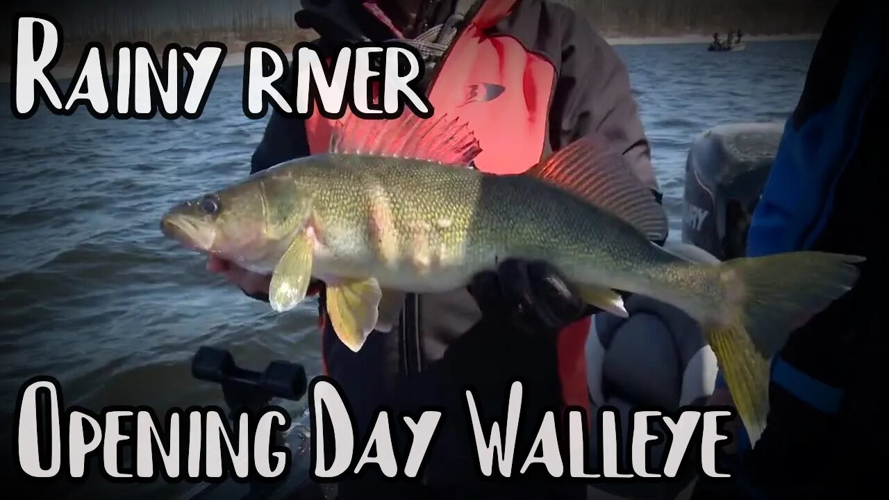 Opening Day Walleye Fishing on the Rainy River