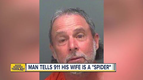 Deputies: Florida man drunkenly called 911 to report his wife is a 'black widow spider'