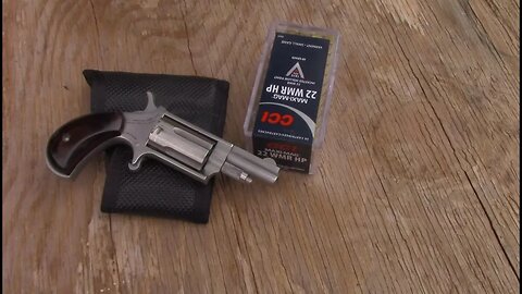 NAA 22 Magnum Mini-Revolver Plinking And Velocity Test