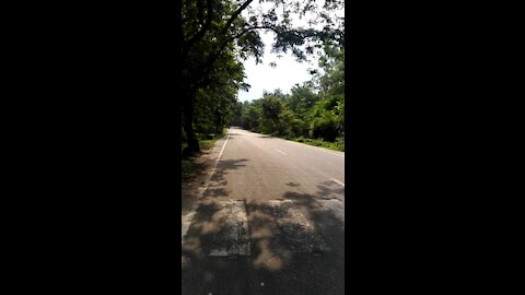 Road during lockdown