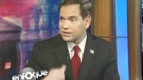 Senator Rubio on Telemundo