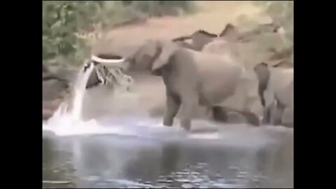 Mega Elephant Fights Crocodile [Epic Battle]