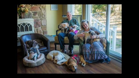 25 DOGS IN ONE HOUSE! SPECIAL PEOPLE TAKING CARING OF SPECIAL DOGS MONKEY'S HOUSE DOG HOSPICE