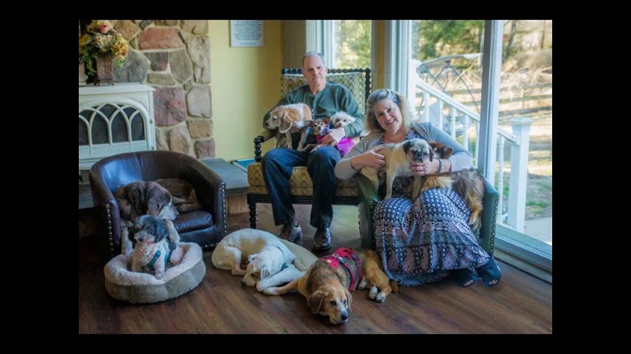 25 DOGS IN ONE HOUSE! SPECIAL PEOPLE TAKING CARING OF SPECIAL DOGS MONKEY'S HOUSE DOG HOSPICE